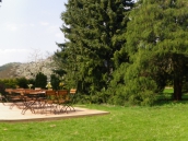 IMGP2264